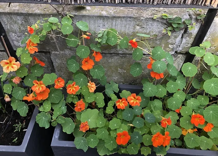 Sourire Boutique Particulier Couette-café Paris